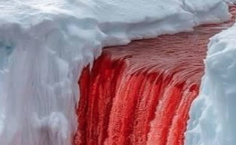 Blood Falls di Emanuele Scarpa