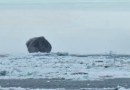 Il giorno dell’iceberg nero