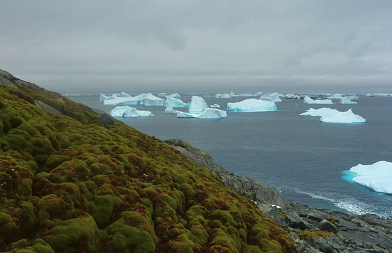 L’Antartide in 30 anni
