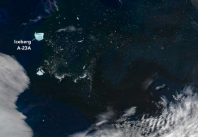A-23A, il mega-iceberg antartico ha alimentato un’esplosione di fitoplancton nell’Atlantico meridionale