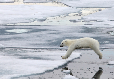 Il riscaldamento globale