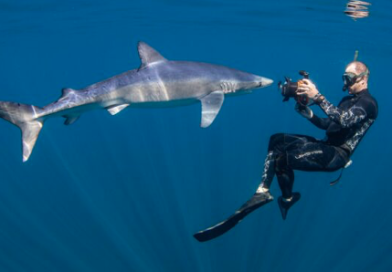 Quattro attacchi in due giorni