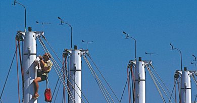 Salire in testa d’albero con il winch elettrico: procedura e rischi