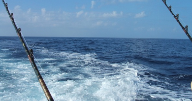 La pesca da bordo