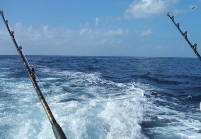 La pesca da bordo