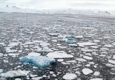 Antartide: l’inverno non riesce a congelare il mare: manca una superficie di ghiaccio grande quanto la Francia