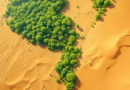 I satelliti hanno rilevato come l’Egitto stia rimboschendo il deserto