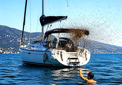 Sciame d’api su una barca a vela a Rapallo: lo skipper si tuffa in mare