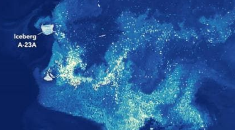 Iceberg